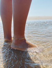 Load image into Gallery viewer, SHELL ANKLET