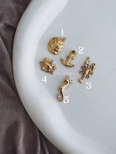 Load image into Gallery viewer, SEA CHARM MIX
